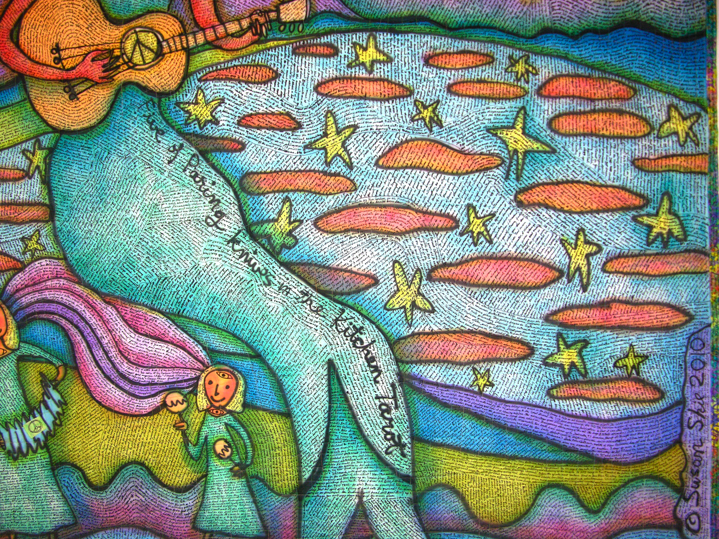 Stars on the Water detail view. Susan Shie 2010.